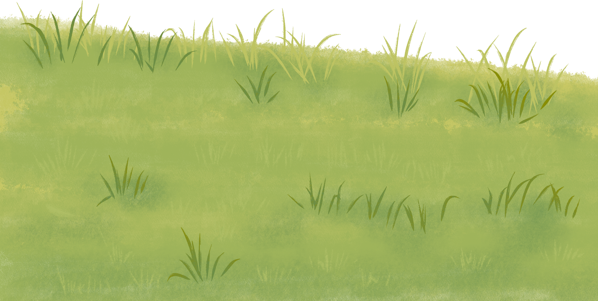 Grass Landscape